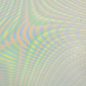 Meet your Posher, Sasha